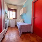 Rent 2 bedroom apartment of 28 m² in Misano Adriatico