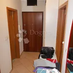 Rent 1 bedroom apartment of 56 m² in Matulji