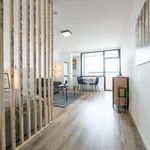 Rent 1 bedroom apartment of 30 m² in Nürnberg