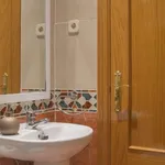 Rent 1 bedroom apartment in madrid