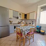 Rent 3 bedroom apartment of 80 m² in Rome