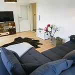 Top-Gelegenheit! Voll möbilierte 2 Zimmer Wohnung in Bad Sobernheim zu vermieten! - Wohnung in Bad Sobernheim Etagenwohnung