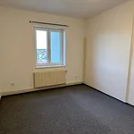 Rent 1 bedroom apartment in Pilsen