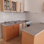 Rent 1 bedroom apartment of 40 m² in Liberec