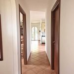 Affittasi Villa, Villa unifamiliare, nuova, 110 m², Via della Caranella, Via - Annunci Velletri (Roma) - Rif.565703