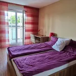 Rent 2 bedroom apartment of 54 m² in Wrocław