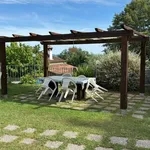 Rent 2 bedroom apartment of 100 m² in Trevignano Romano