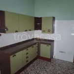 Rent 2 bedroom apartment of 100 m² in Ravenna