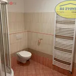 Rent 1 bedroom apartment in Šternberk