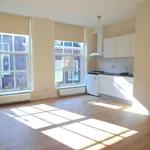 Rent 2 bedroom apartment of 55 m² in Delft