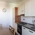 Rent a room of 120 m² in rome