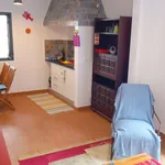 Rent 1 bedroom apartment of 40 m² in Seixal