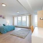 Rent 2 bedroom apartment of 127 m² in Den Haag