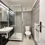 Pronajměte si 2 ložnic/e byt o rozloze 33 m² v Brno