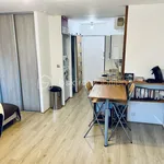 Appartement de 28 m² avec 1 chambre(s) en location à Saint-Maurice