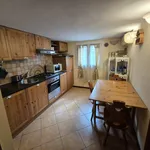 Rent 1 bedroom apartment of 50 m² in Padova