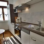 Rent 2 bedroom apartment of 55 m² in Augsburg