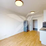 Rent 2 bedroom apartment of 39 m² in Pilsen