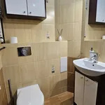 Rent 1 bedroom apartment of 30 m² in Katowice