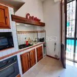 Rent 3 bedroom apartment of 80 m² in Firenze