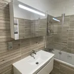 Studio o rozloze 30 m² v Prague