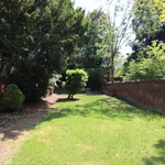 Rent 1 bedroom flat in reading