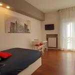 Rent 1 bedroom apartment in Milan