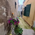 Rent 2 bedroom apartment of 45 m² in Roma