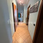 3-room flat via Piero Calamandrei 26, Centro, Cologno Monzese