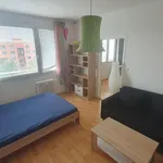 Rent 1 bedroom apartment of 33 m² in Ústí nad Labem