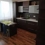 Rent 1 bedroom apartment of 43 m² in Brno