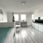 Rent 1 bedroom apartment of 30 m² in Nuremberg