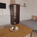 Rent 5 bedroom apartment in Madrid