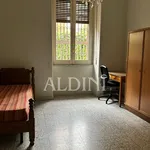 Rent 3 bedroom apartment of 100 m² in Catania