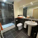 Rent 3 bedroom apartment of 123 m² in Leicester