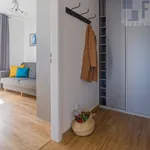 Rent 3 bedroom apartment of 49 m² in Łódź