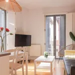 Rent 1 bedroom apartment in madrid