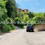 Rent 1 bedroom apartment of 60 m² in Rome