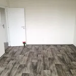 Rent 1 bedroom apartment of 35 m² in Ostrava