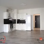 Rent 1 bedroom apartment in Plzeň