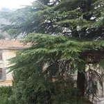 Rent 1 bedroom apartment of 40 m² in Como