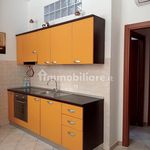 2-room flat excellent condition, ground floor, Centro, Piombino