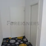 Rent 1 bedroom apartment of 62 m² in Brno