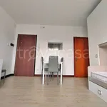 Rent 1 bedroom apartment of 30 m² in Bassano del Grappa