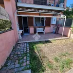 Rent 2 bedroom apartment of 40 m² in Roma