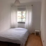 Rent 2 bedroom apartment in Lisbon