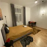 Rent 1 bedroom apartment of 26 m² in Capital City of Prague