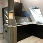 Rent 2 bedroom apartment of 65 m² in České Budějovice