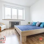 Rent 1 bedroom apartment in Brno