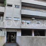 Rent 3 bedroom apartment of 91 m² in Roma